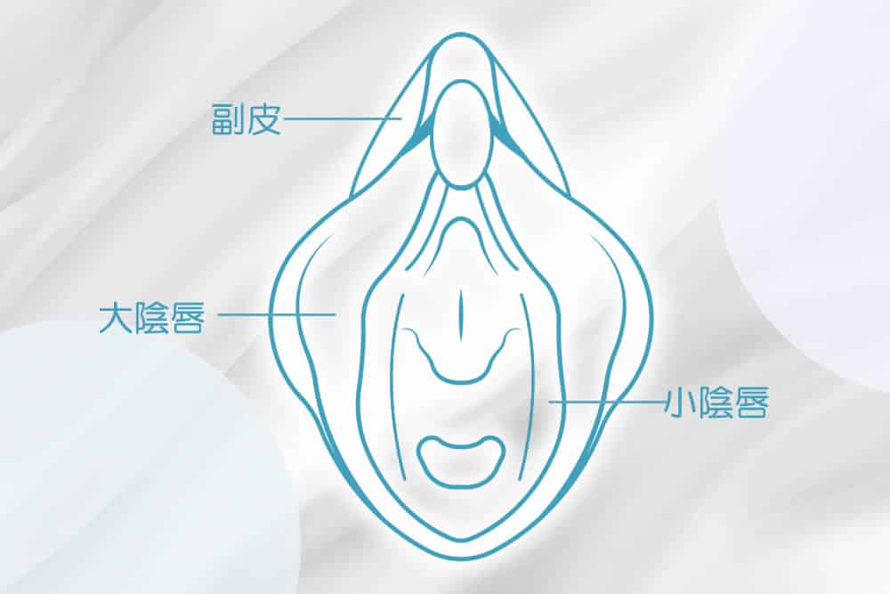 陰唇は肌と同じ色でなければなりませんか?