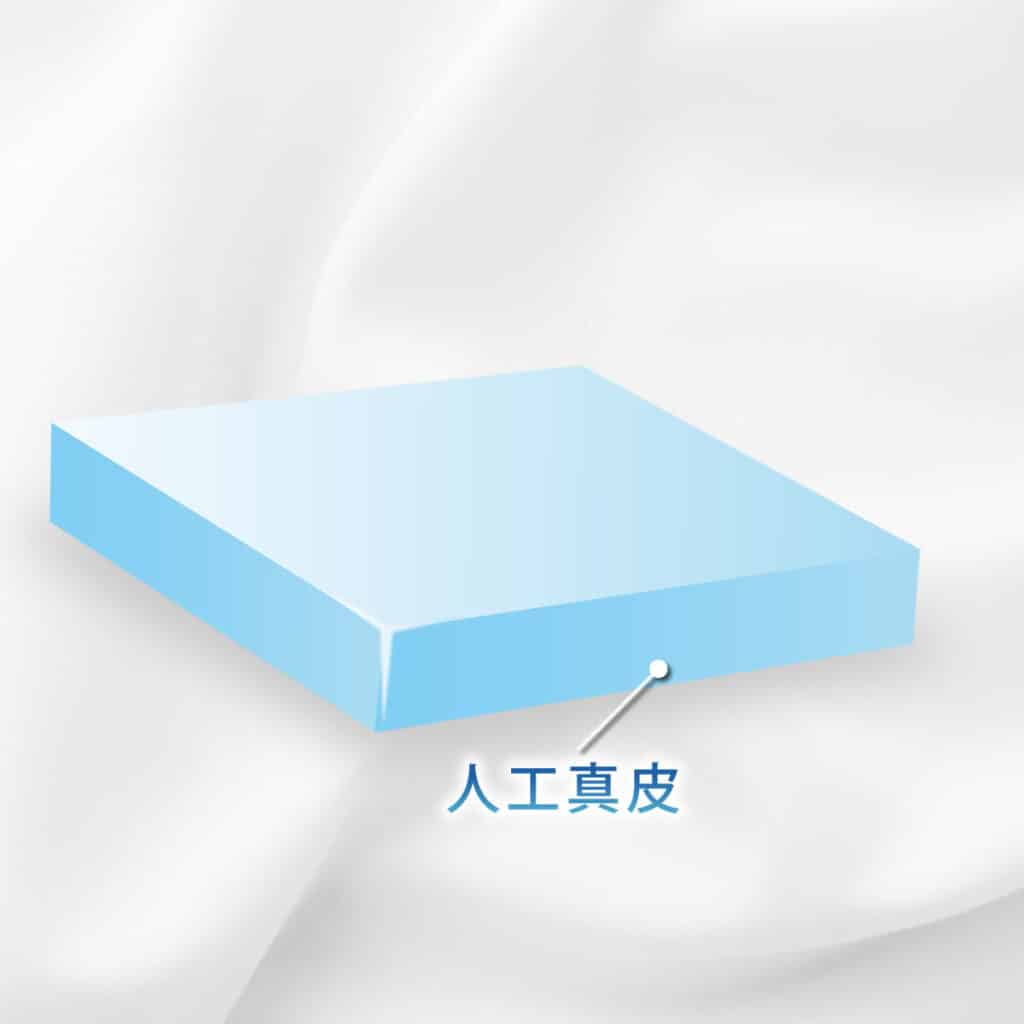 人工真皮のイラスト