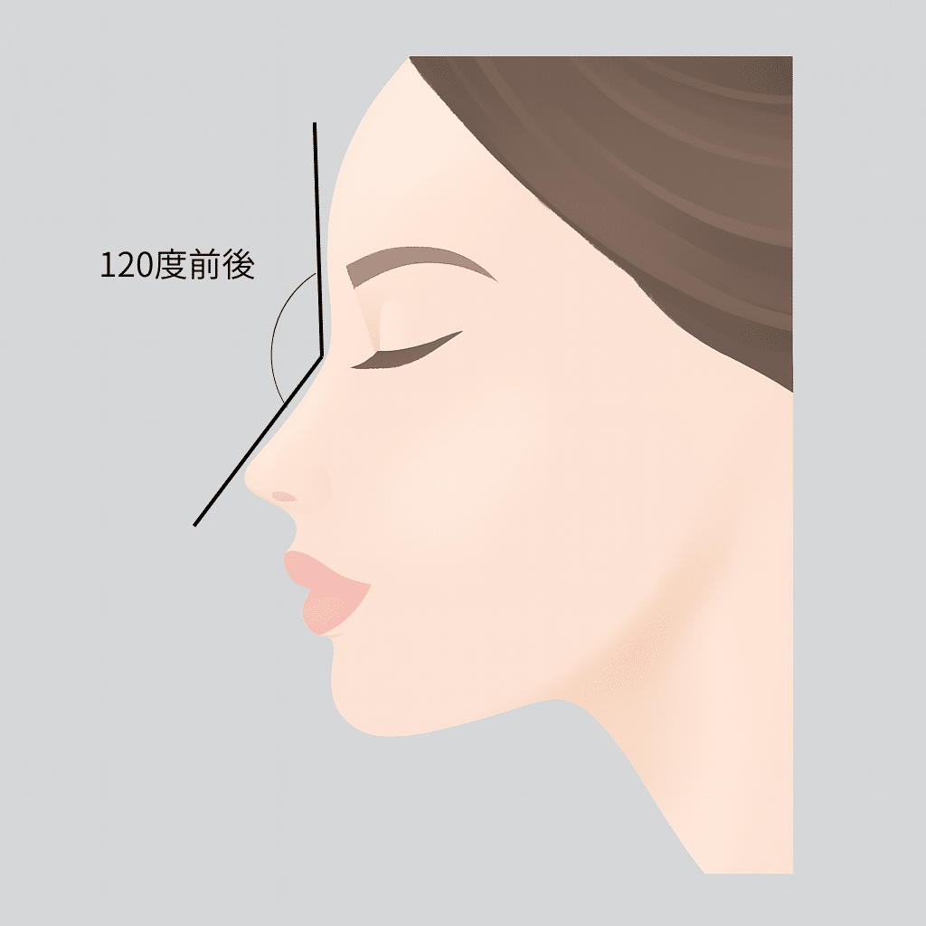 鼻前頭角